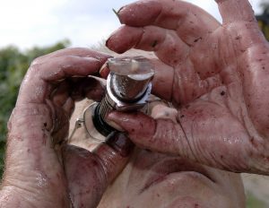 Von Traubensaft verschmierte Männerhände halten Oechslewaage, durch die ein Mann mit Brille schaut