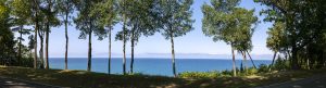 Panoramafoto von blauem Meer durch einzelne Bäume am Ufer gesehen