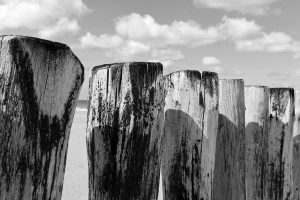 Verwaschene Holzstämme am Strand vor Wolkenhimmel