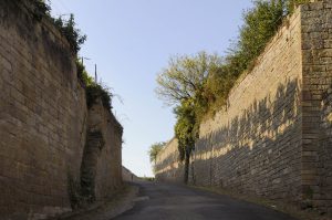 Deidesheim: Schatten der Rebstöcke auf der Sandsteineinfassung der "Große Hohl", Verlängerung der Straße Kaisergarten in die Weinberge