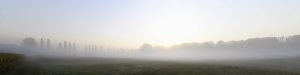 Panorama Morgennebel über den Wiesen bei Sonnenaufgang