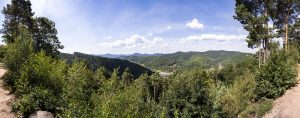Panorama-Aussicht vom Parkplatz Drei Buchen über den Pfälzer Wald