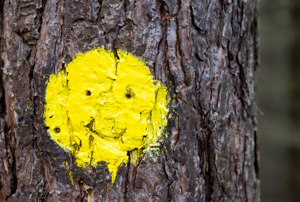 Farbmarkierung in Form eines gelben Smilies auf einem Baumstamm