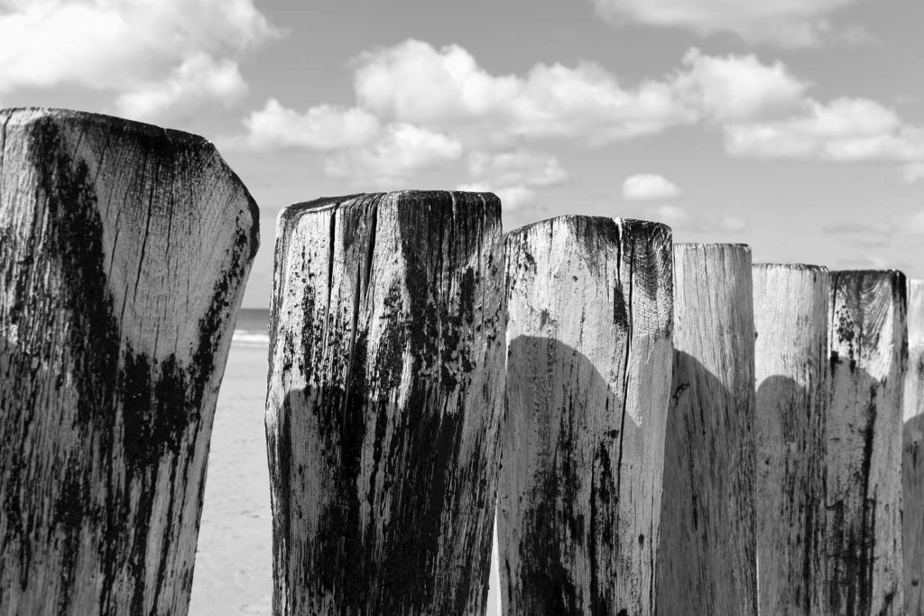 Großaufnahme der verwaschenen Holz-Buhnen am Meer in Schwarz-Weiß