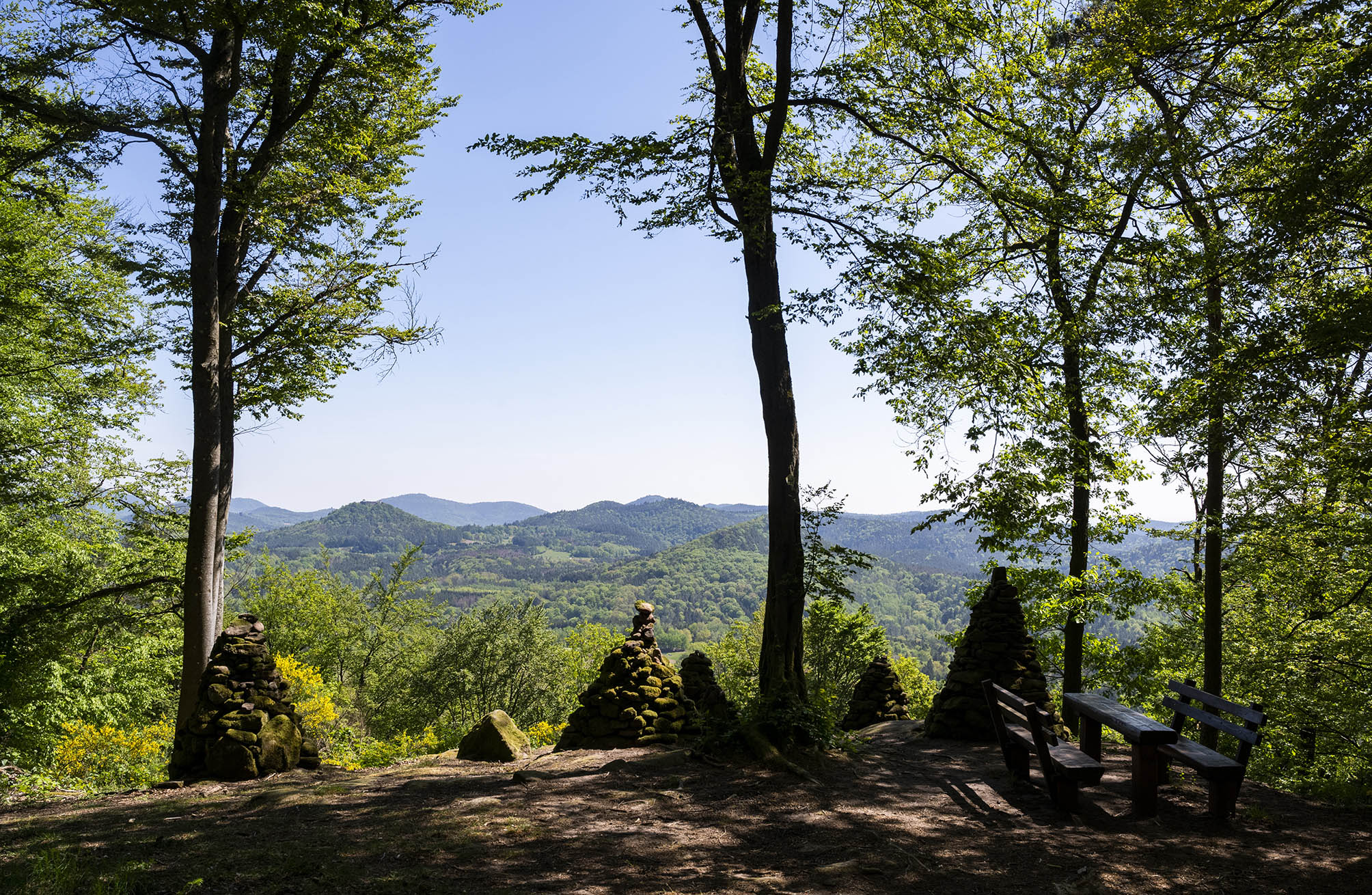 Aussicht vom Löffelsberg