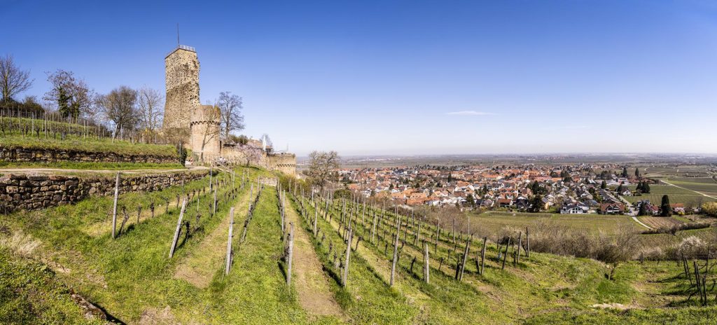 Burgruine hinter kahlem Weinberg vor blauem Himmel, im Hintergrund bergab der Ort