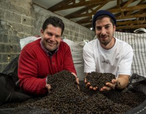 Alexander und Andreas Friedrich mit den Händen in der Pflanzerde