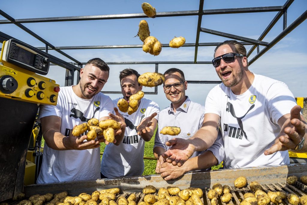 Jannnik Kohlbacher, Patrick Groetzki, Hartmut Magin, und Oliver Roggisch fangen die auf der Rodemaschine reinkommenden Kartoffeln auf