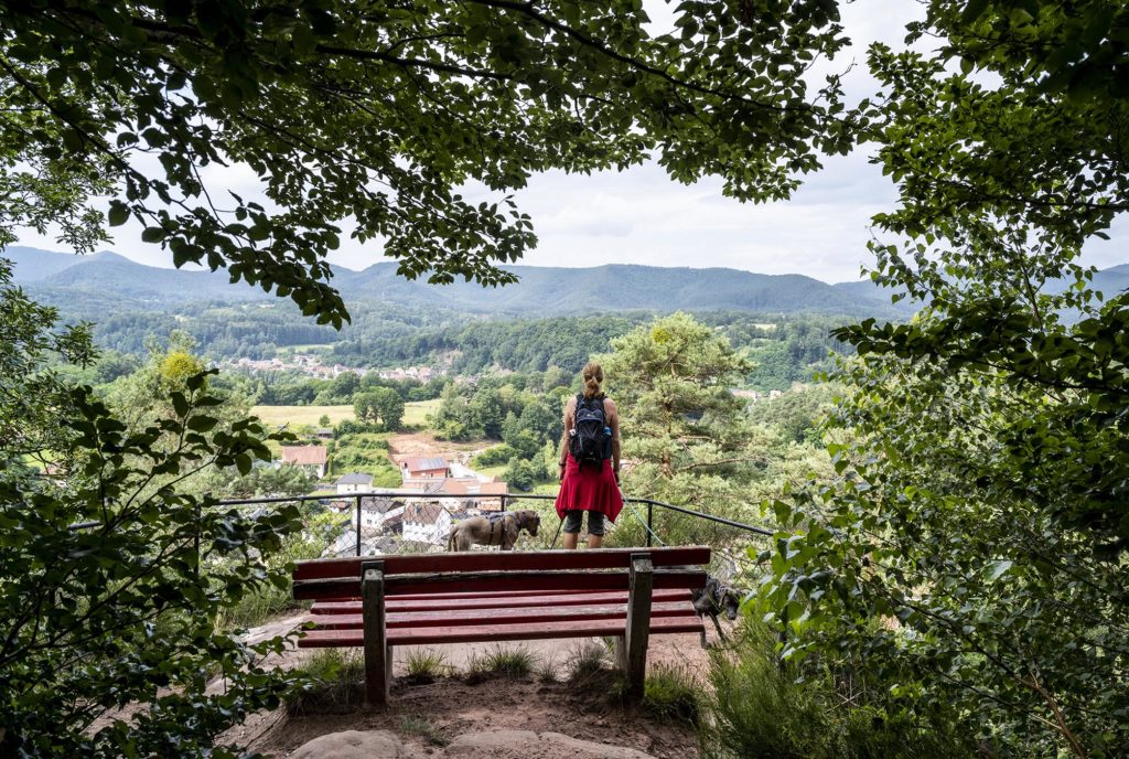 Blick vom Schuhfels auf den Ort und den westlichen Wasgau