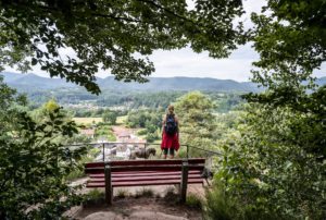 Blick vom Schuhfels auf den Ort und den westlichen Wasgau