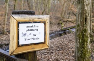 Holzschild im Wald, auf dem steht: Aussichtsplattform für Elwetritsche