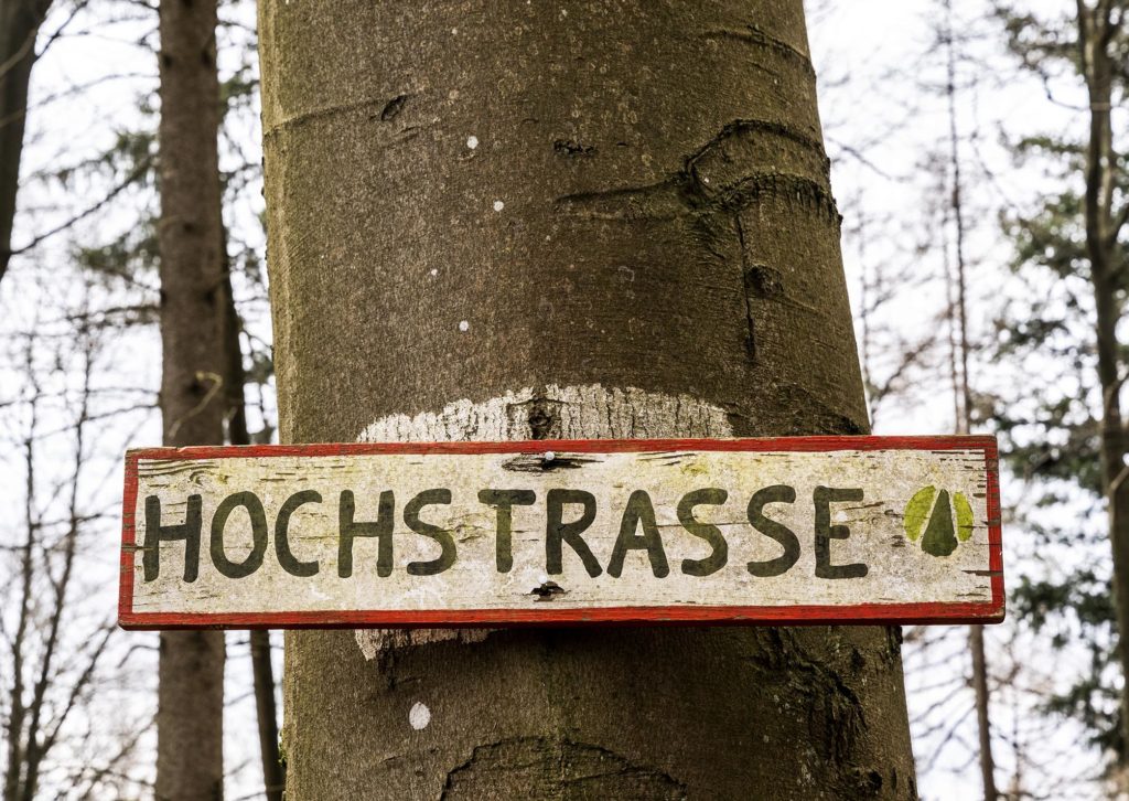 Schild mit der Beschriftung "Hochstraße" an einem Baum