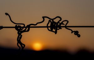Sonne verschwindet hinter Rebstock hinter dem Horizont
