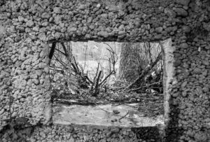 Schwarzweißfoto vom Blick aus einem Bunkerfenster in den Wald