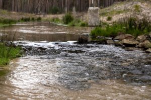 Wasser des Rehbachs plätschert über Sand und Steine