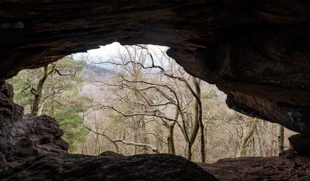 Perspektive aus der Durchblickkammer in den Wald hinaus