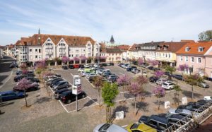 Der Königsplatz mit Ludwigstraße im Frühling