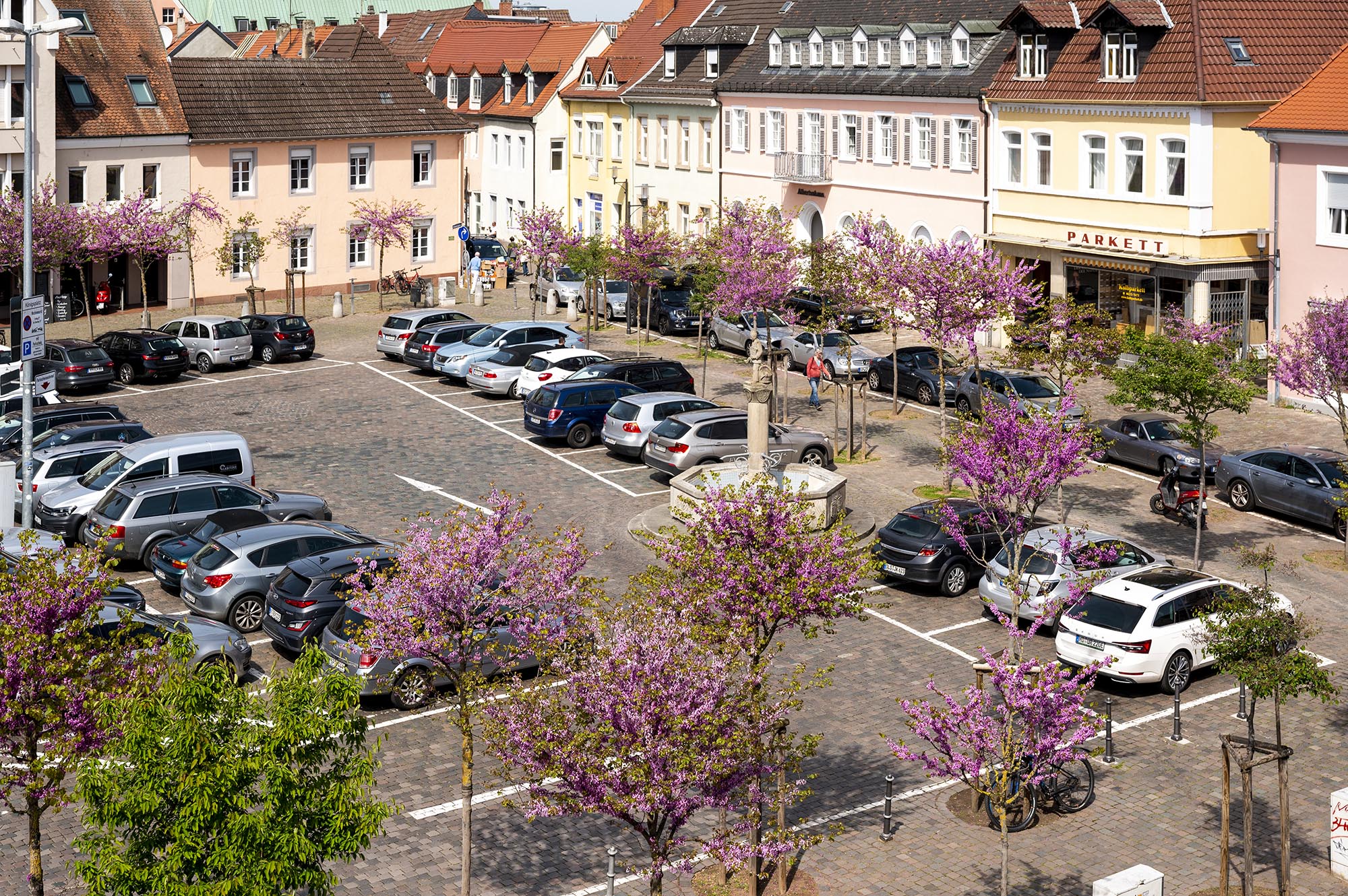 Der Königsplatz in Speyer im Frühling