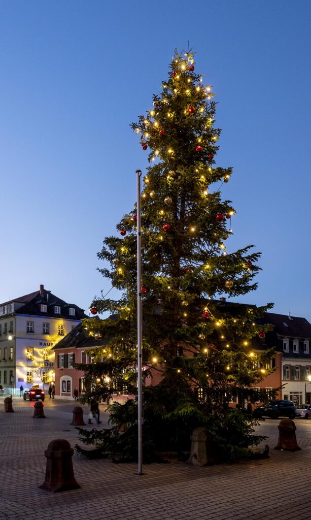 Mit roten und goldnen Kugeln behängter riesiger Weihnachtsbaum auf dem Domplatz in Blickrichtung Domhof