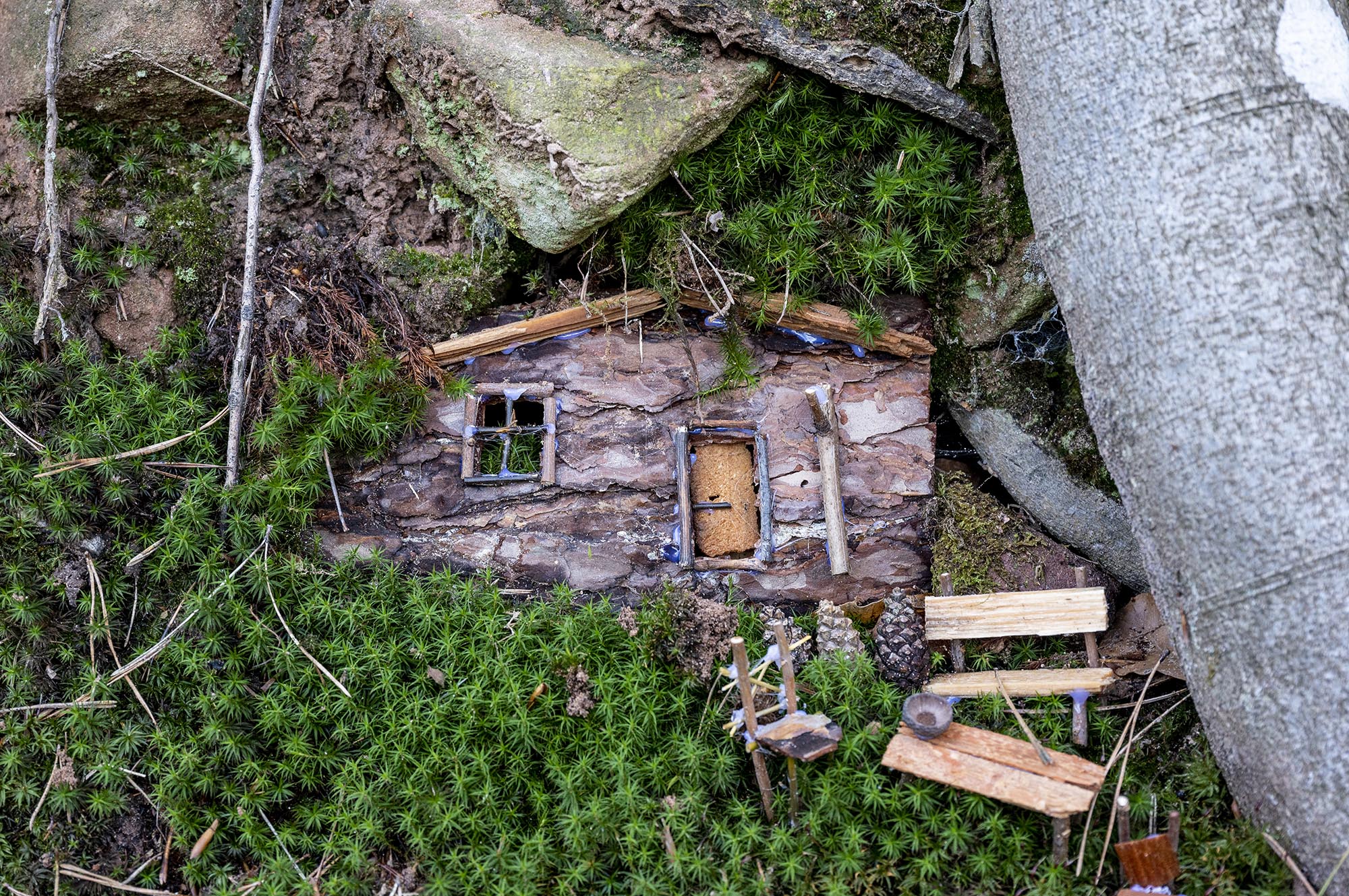 Minihausfassade aus Holz mit kleiner Bank und Tisch vor der Tür im grünen Pflanzenbewuchs zwischen Bäumen