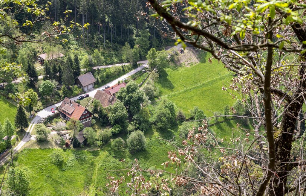 Aussicht von oben aus dem Wald ins Tal auf eine kleine Ansiedlung