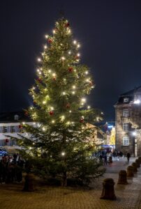 Riesiger geschmückter Weihnachtsbaum auf dem Domplatz