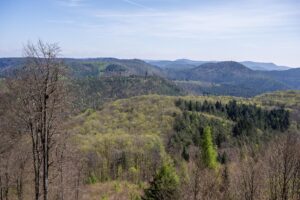Aussicht vom Eiderberg Richtung Süden und Südost auf den Pfälzerwald