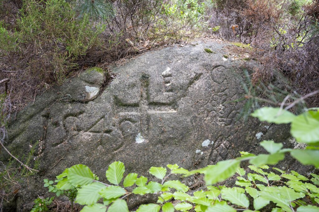 alter halb überwachsener Grenzstein mit eingemeißelten Piktogrammen