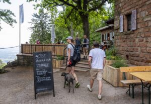 Das von der Sektion Gimmeldingen des Pfälzerwaldverein bwirtschaftete Weinbiethaus mit Terrasse bei Gimmeldingen