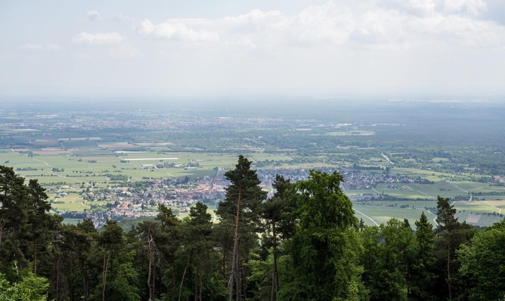 Aussicht in die Rheinebene Richtung Südost vom Weinbiethaus