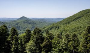 Aussicht über den Pfälzerwald