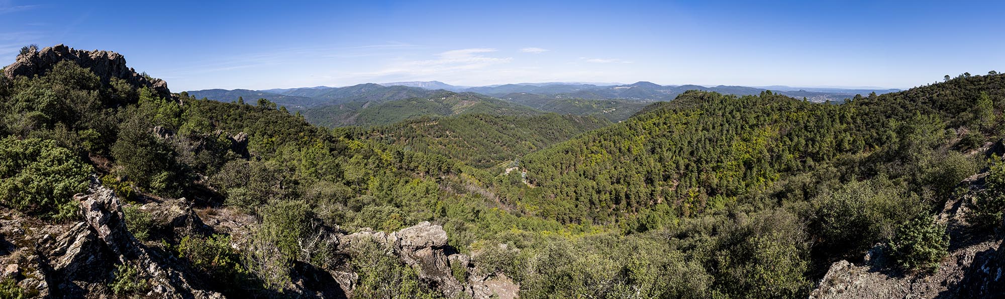 Panoramafoto über die von Wald bedeckten Cevennen