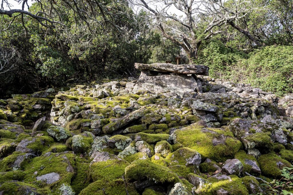 Die Dolmen de la Grande Palliéres