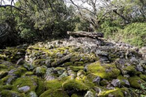 Die Dolmen de la Grande Palliéres