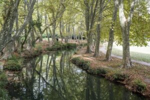 Zwischen Bäumen schlängelt sich das Flüßchen Eure hindurch