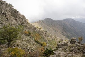 Nebelverhangener Gebirgskamm auf dem "Sentier des 4000 Marches" (4000-Stufen-Pfad) zum Mont Aigoual