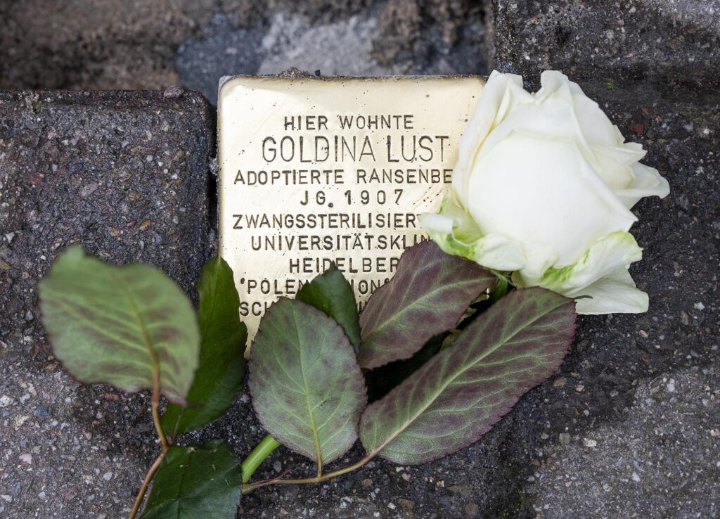 In der Möchsgasse 10 wird Goldina Lust mit dinrm Stolperstein gedacht. Dabei liegt eine weiße Rose.