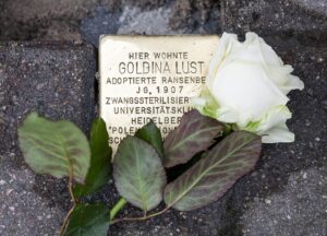 In der Möchsgasse 10 wird Goldina Lust mit dinrm Stolperstein gedacht. Dabei liegt eine weiße Rose.