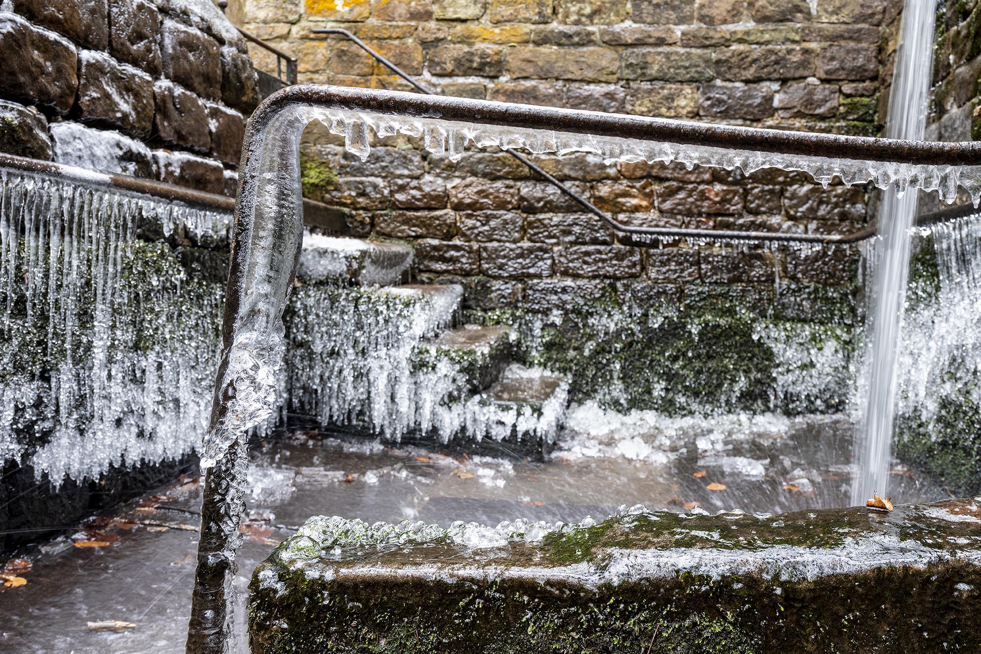 Winterwanderung bei Gleisweiler