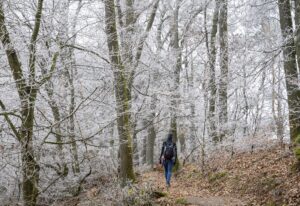 Wandererin auf einem Waldweg unter mit Raureif bedeckten Bäumen