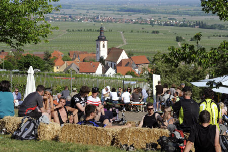 Blick in die pfälzische Ebene über ein Fest in den Weinbergen hinweg