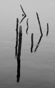 Äste ragen aus eisigem Wasser