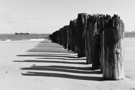 Morsche Holzstämme reihen sich vom Strand ins Wasser