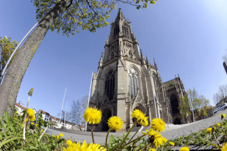 Fischaugen-Aufnahme der Speyerer Gedächtniskirche mit gelbem Löwenzahn im Vordergrund