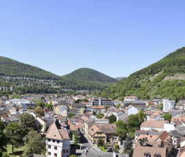 Panoramaansicht von Neustadt Weinstraße mit Pfälzer Wald im Hintergrund