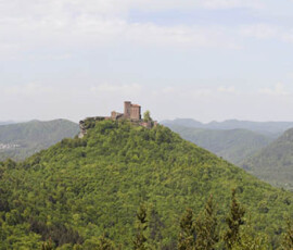 Panoramaansicht über den Pfälzer Wald mit Burg Trifels in der Bildmitte