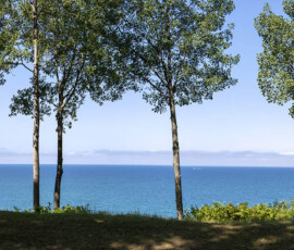 Panoramasicht auf den blauen Lake Michigan durch eine Baumreihe