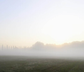 Panorama Morgennebel über den Wiesen bei Sonnenaufgang
